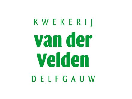 Medewerker Technische Binnendienst