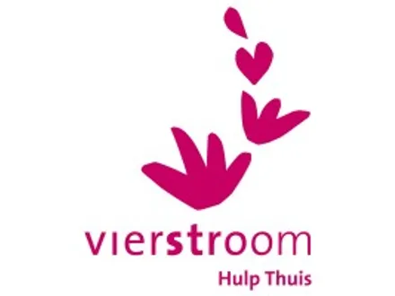 Huishoudelijke ondersteuner 