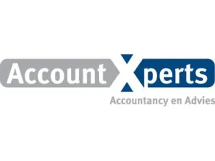 Zelfstandig Assistent Accountant