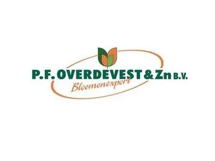 Bloemeninpaksters & Medewerkers Bloemenverwerking